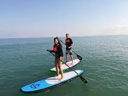 1ded0ec2 4087 11ec 8606 12ae36687927